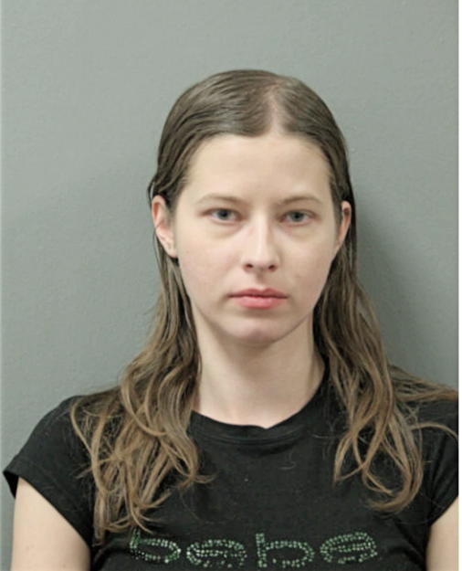 KAMILA J LIS, Cook County, Illinois
