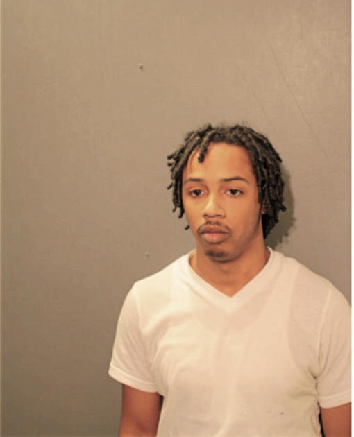 JOSHUA D MARTIN, Cook County, Illinois
