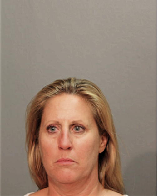 DIANA A MENGELING, Cook County, Illinois