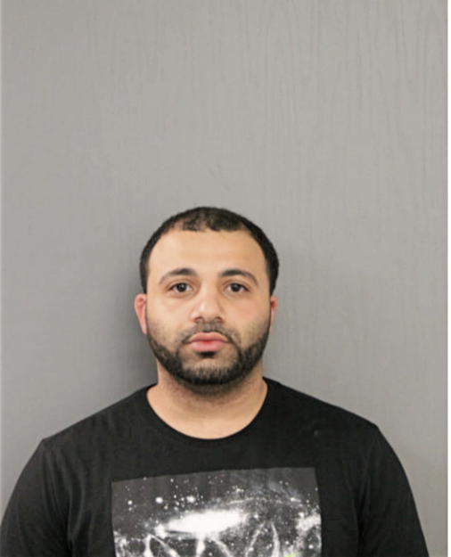 AMEER A NATOUR, Cook County, Illinois