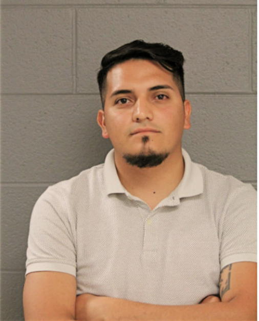 ALEJANDRO PATINO, Cook County, Illinois