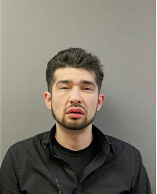 DANIEL J PENA, Cook County, Illinois
