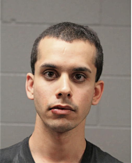 BRAULIO J PORTES, Cook County, Illinois
