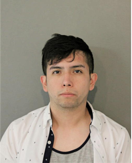 MAURICIO RAMIREZ, Cook County, Illinois