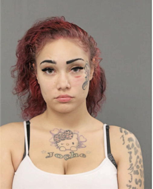 SIENNA SIMONE RICCHIO, Cook County, Illinois