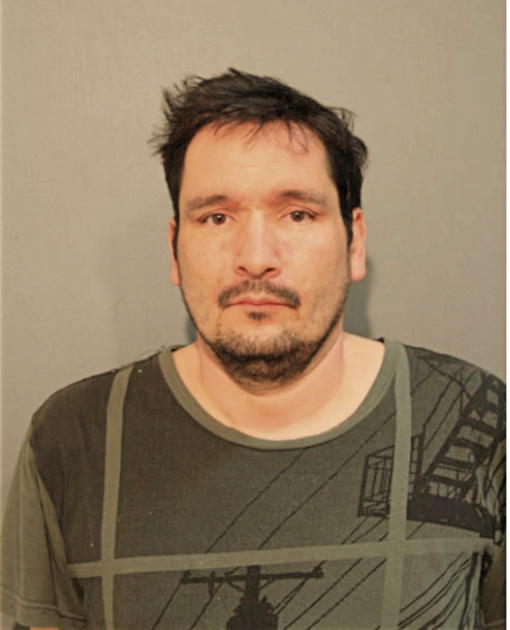 PAUL T SKENANDORE, Cook County, Illinois