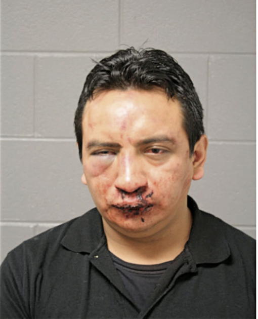 JOHNNY IVAN SUCO BUESTAN, Cook County, Illinois