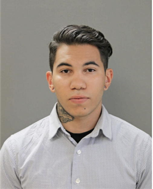 IVAN D THOMAS, Cook County, Illinois
