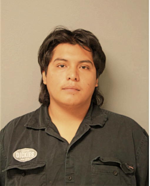 ELMO VIRGEN, Cook County, Illinois