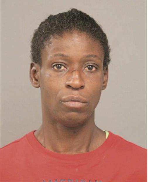 LISA A WILEY, Cook County, Illinois