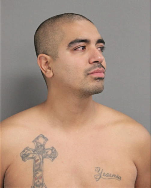 JOSE E ALVAREZ, Cook County, Illinois
