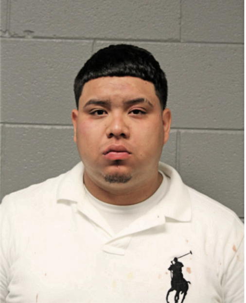 CARLOS N ANAYA CASTENEDA, Cook County, Illinois