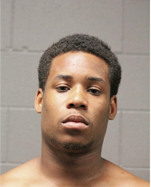 ANTHONY T BRIDGES, Cook County, Illinois