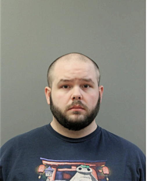 MICHAEL R BROWN, Cook County, Illinois