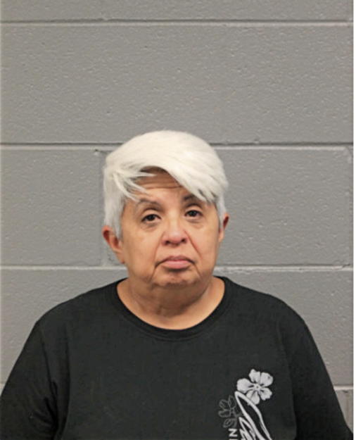 ELIDA CASTANUELA, Cook County, Illinois