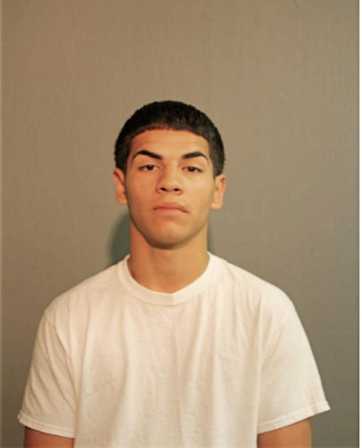 LUIS E DIAZ, Cook County, Illinois