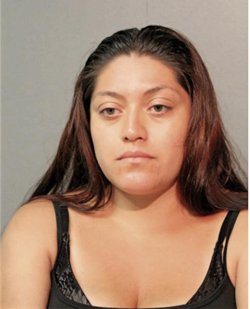 NICOLE ANN FARHO, Cook County, Illinois