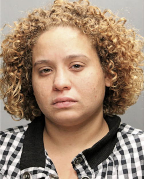 NATASHA M FELIX, Cook County, Illinois