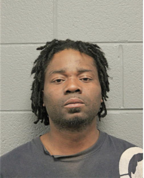 LUKE E GARRISON, Cook County, Illinois