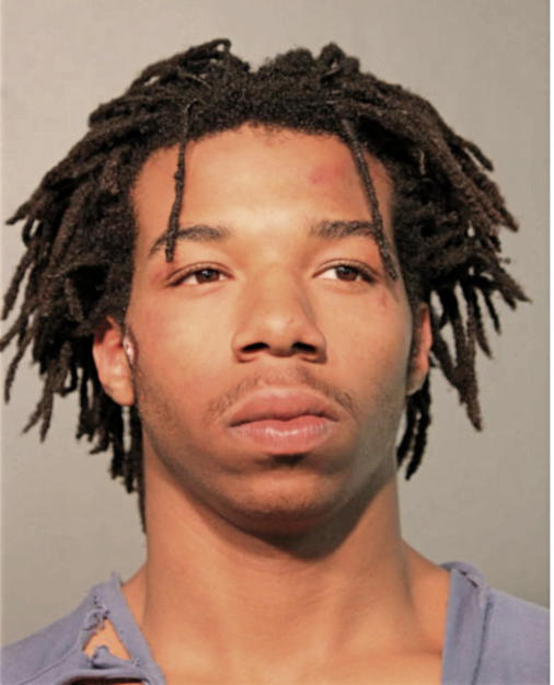 AMARI F LAWRENCE, Cook County, Illinois
