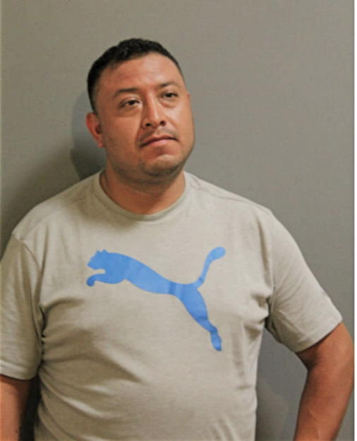 JUAN C MELENDEZ, Cook County, Illinois