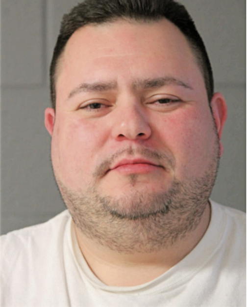 LUIS F MENDOZA, Cook County, Illinois