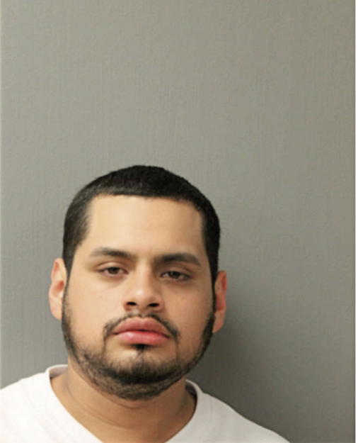 MARIO J MENDOZA, Cook County, Illinois