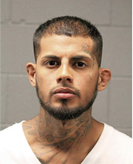 JOSEPH ALBERTO NAVA, Cook County, Illinois