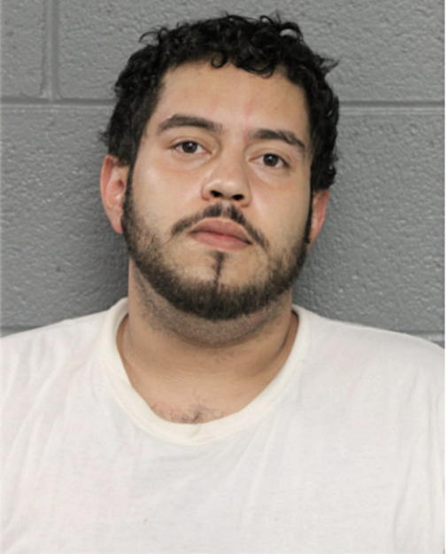 NICKOLAI A OYOLA, Cook County, Illinois