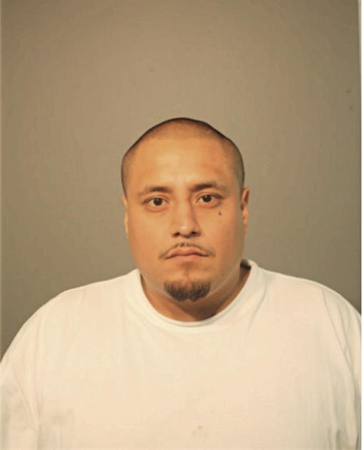 ENRIQUE PLATA, Cook County, Illinois