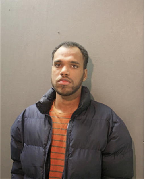 JOHNNY E SMITH, Cook County, Illinois