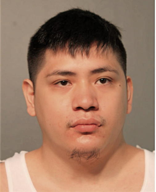ALEXANDER J TONG, Cook County, Illinois