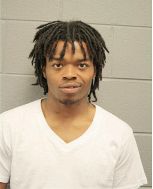 ROBERT L WARREN, Cook County, Illinois
