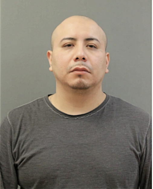 DANIEL ARELLANA, Cook County, Illinois