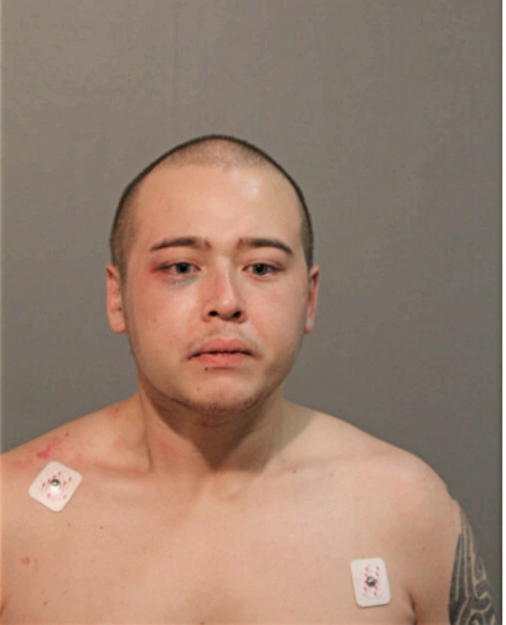 JOHN K CAO, Cook County, Illinois