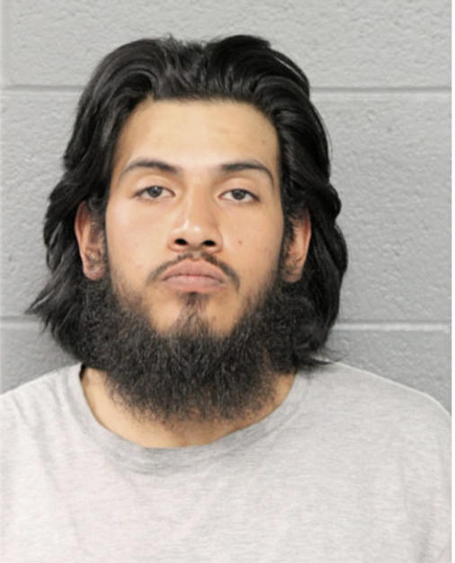 BRANDON G CASTILLO, Cook County, Illinois