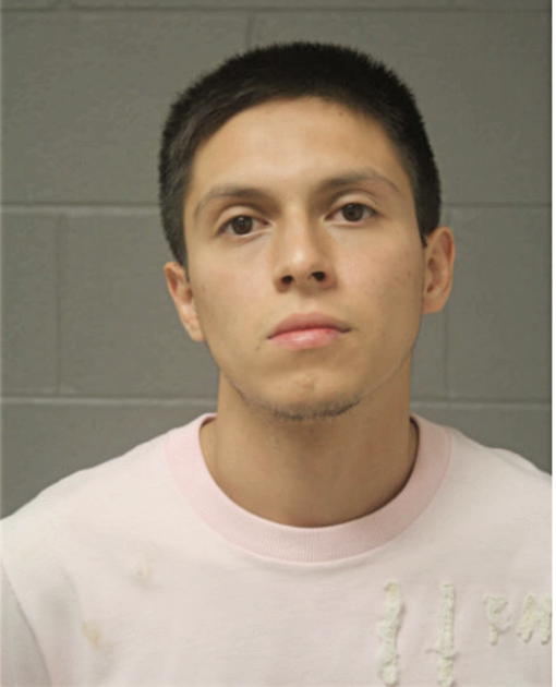 PEDRO A DASORMAUX, Cook County, Illinois