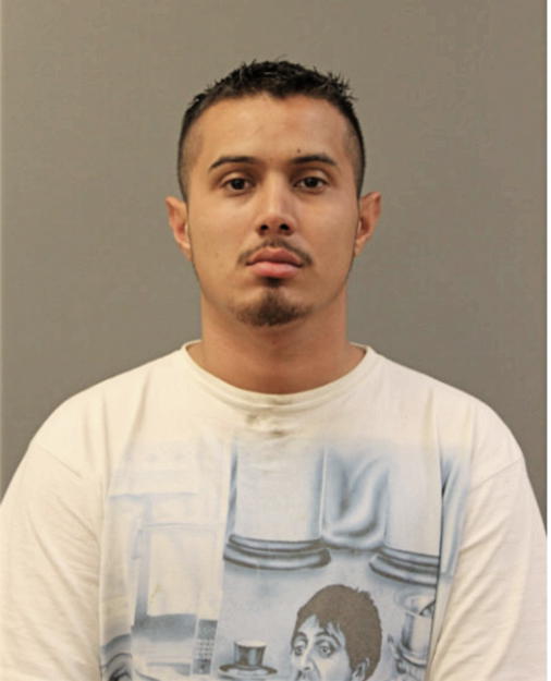 OMAR A DIAZ, Cook County, Illinois