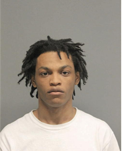 DAVID P FRYE, Cook County, Illinois