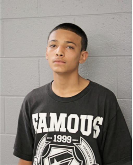 SALVADOR GOLLAZ, Cook County, Illinois