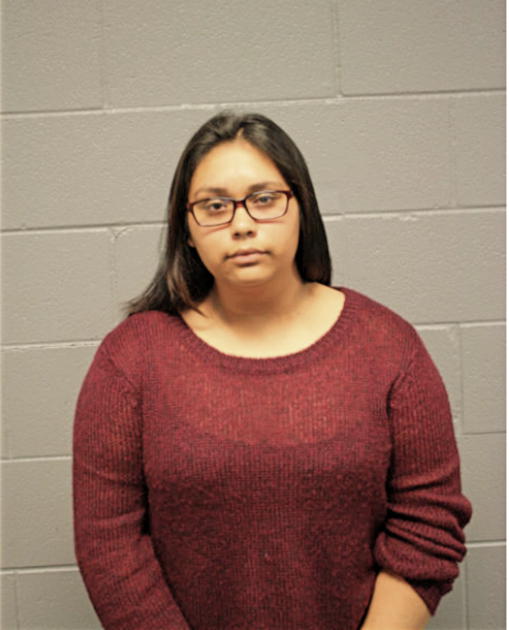 KARINA GONZALEZ, Cook County, Illinois