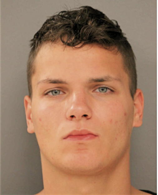 DILLON J HALLAM, Cook County, Illinois