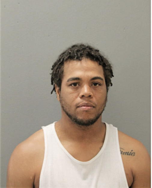 ADRIAN HAMILTON, Cook County, Illinois