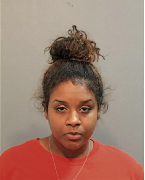 NINA S HARDIN, Cook County, Illinois