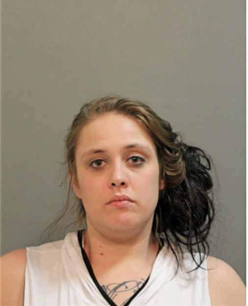 TARA R HENNING, Cook County, Illinois