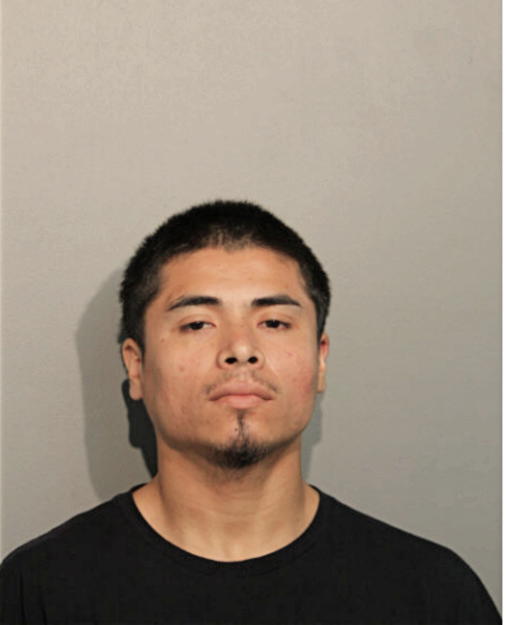 ADAN HERNANDEZ, Cook County, Illinois
