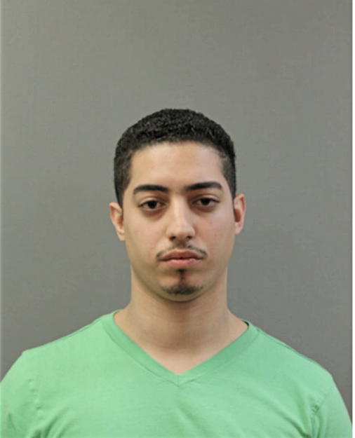 WILLIAM NATAL JR, Cook County, Illinois
