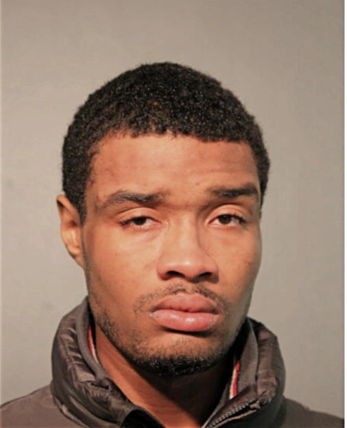 AMORY K KING, Cook County, Illinois