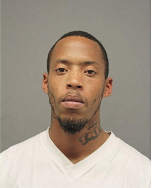 AYRIE D KING, Cook County, Illinois