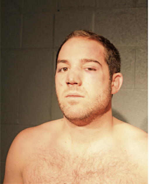 TONY M LEWIS, Cook County, Illinois